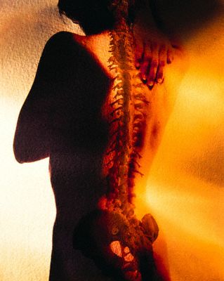 A Close Up of a Person’s Spine and Pelvis With a Red and Orange Filter